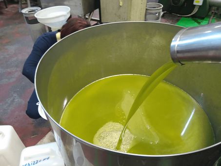 frisches Olivenöl