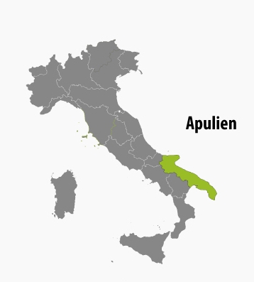 Olivenöl aus Apulien 