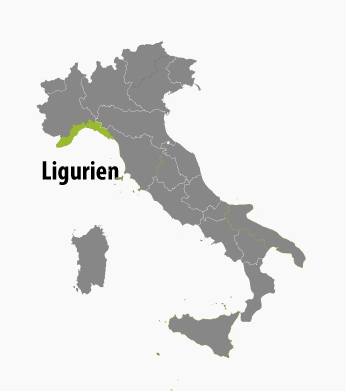  Zusammenfassung der favoritisierten Olivenöl aus ligurien