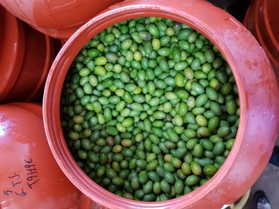 Italienische oliven einlegen