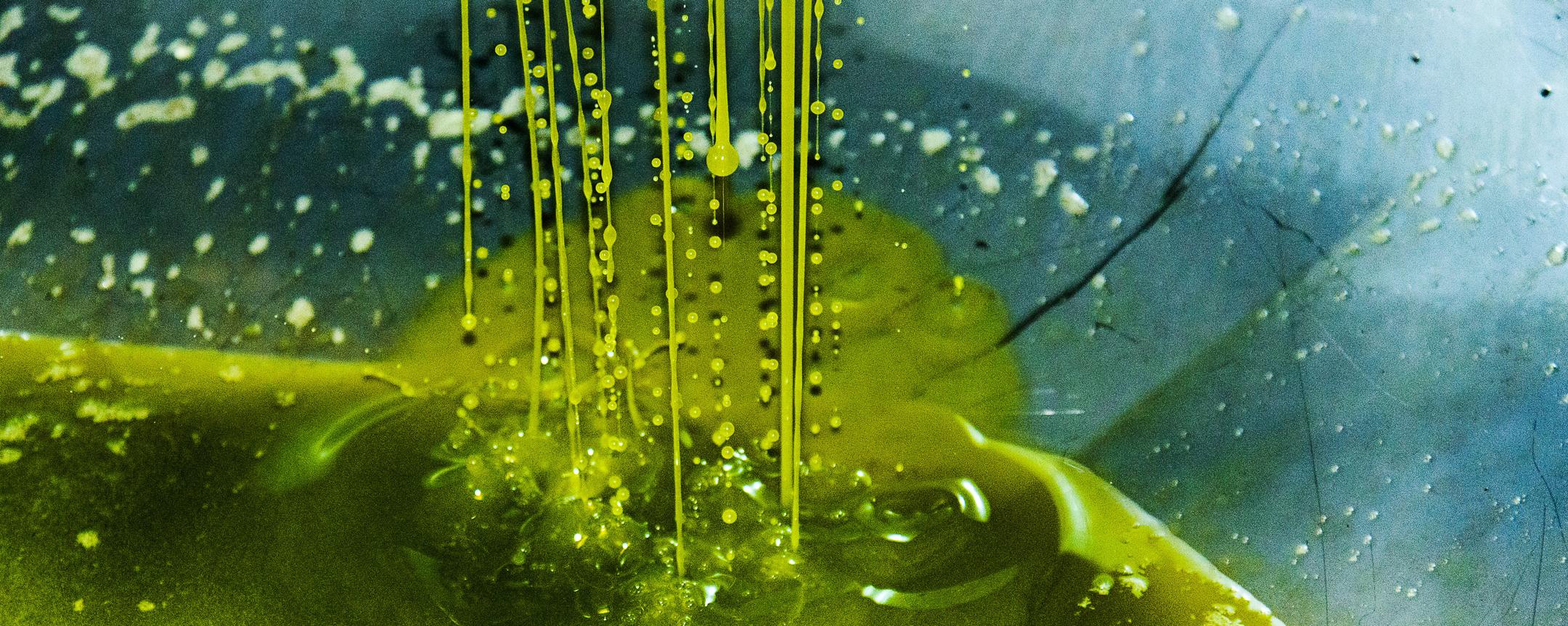 Apulien olivenoel olio costa