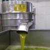 Thumbnail oliven%c3%b6l olio cassiano toskana
