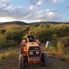 Thumbnail arkadius traktor sizilien olio costa