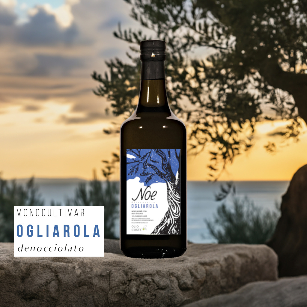 Noe olivensorte ogliarola 0 75l natives oliven%c3%b6l extra aus apulien von olio costa