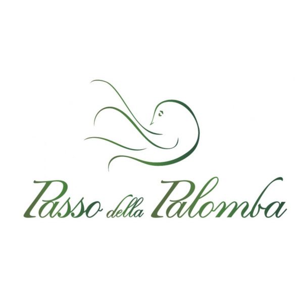 Passo della plaomba logo